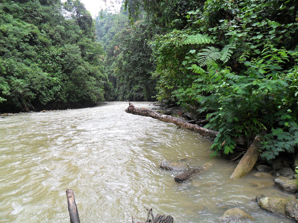ARAH HULU SUNGAI LS 53